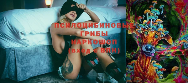 спиды Медвежьегорск